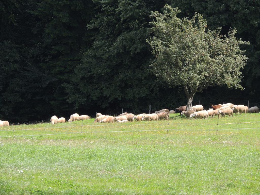 Ferienwohnungen Bonnleiten Stossing Exterior foto